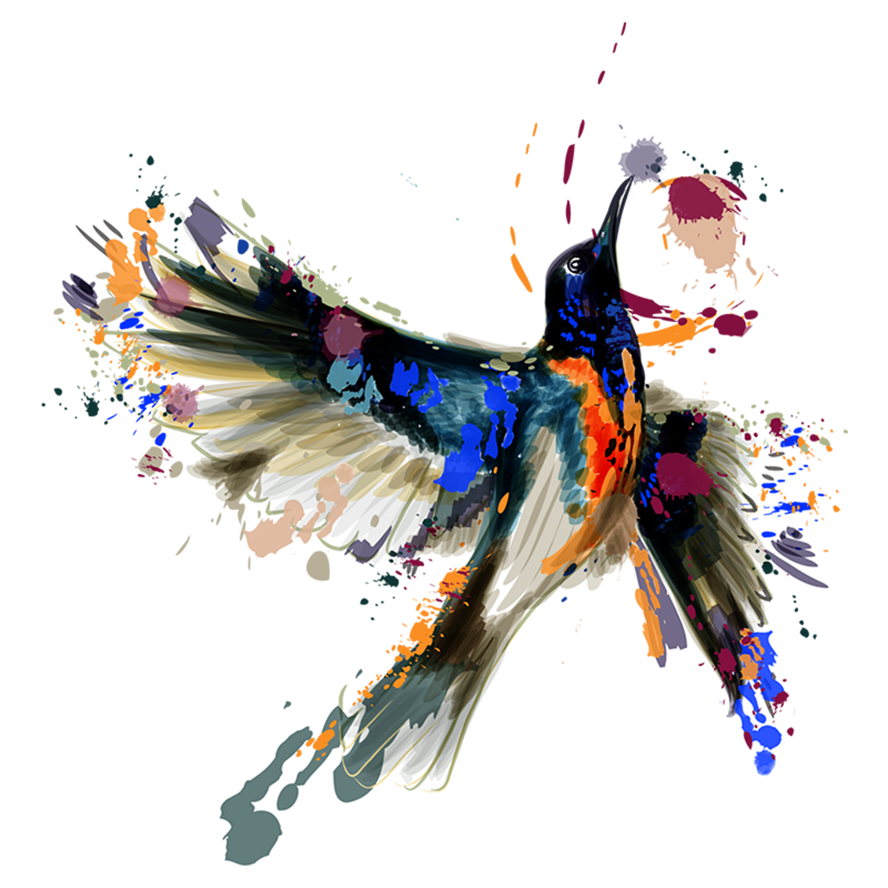 Colorful flying bird