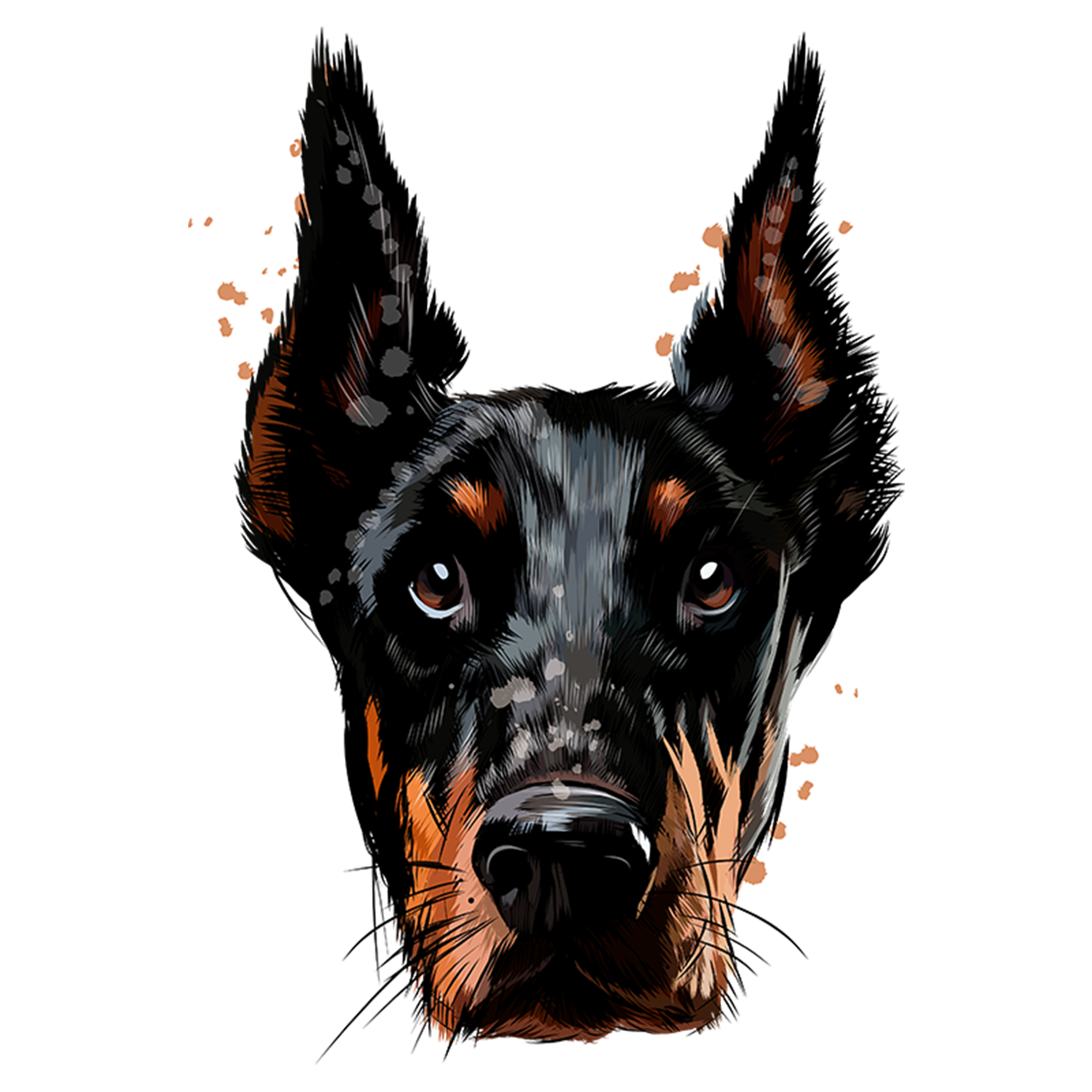 Doberman