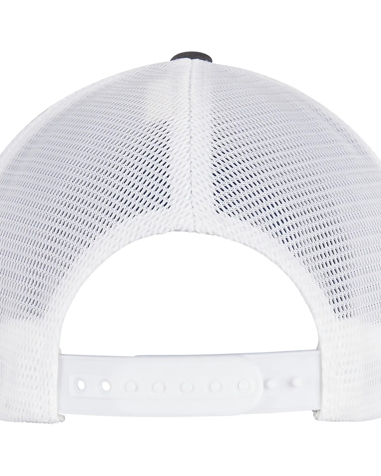 d9e54152bf31b5ba136439cea2ded64e