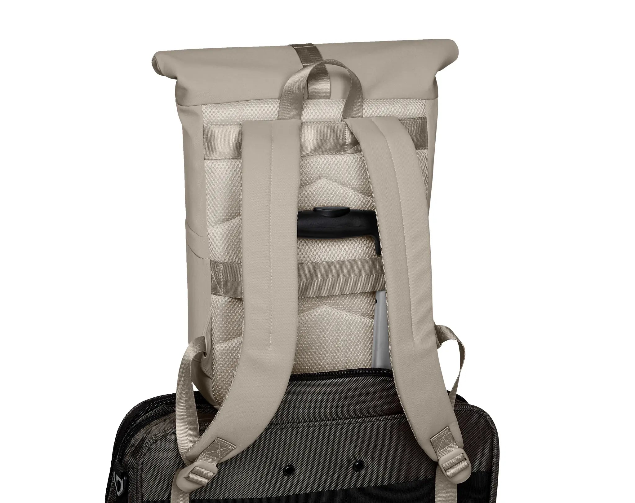 7a903ee6fc901547cf9949406fa820a5