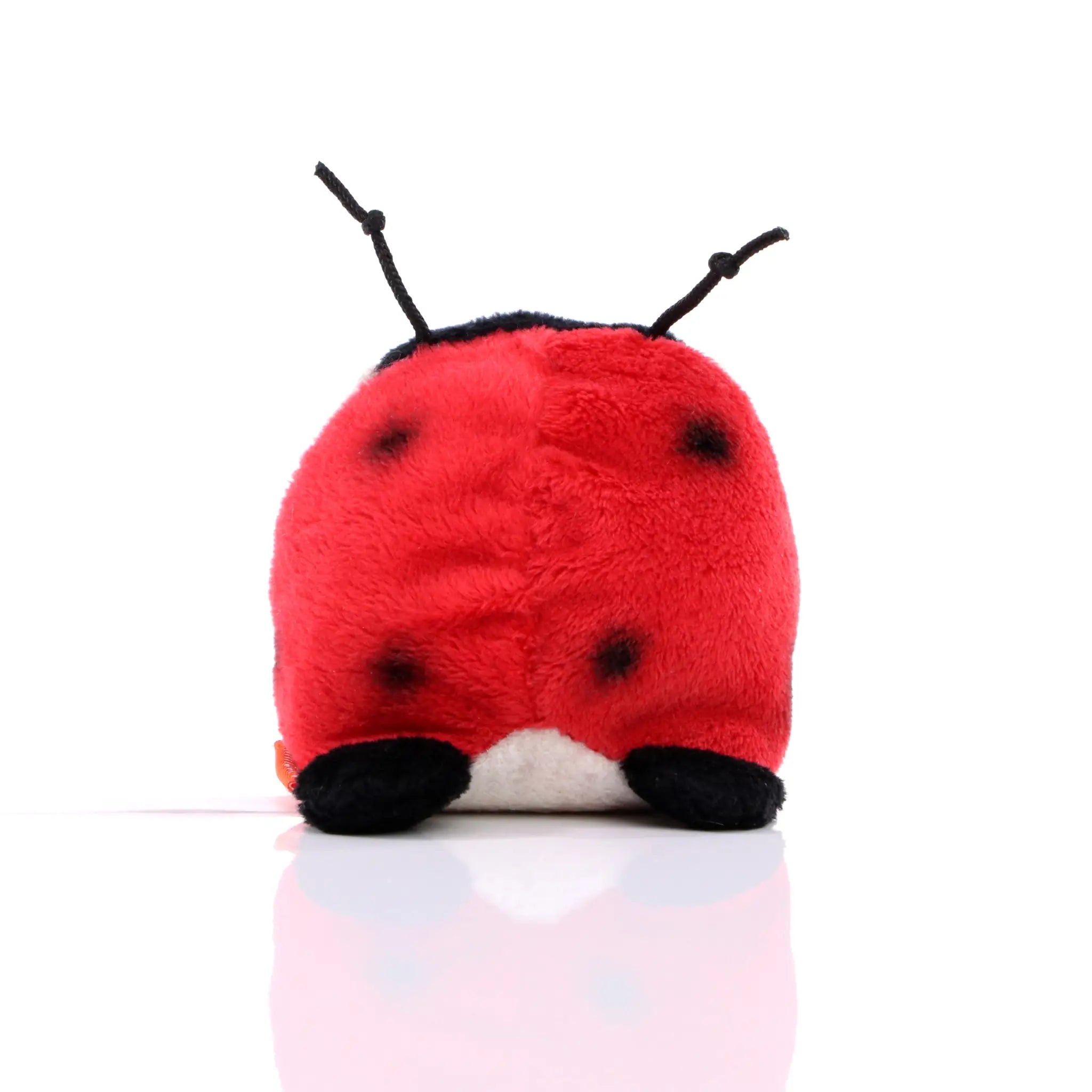 b55dc234e2ac5eb7bb854543275d59ec