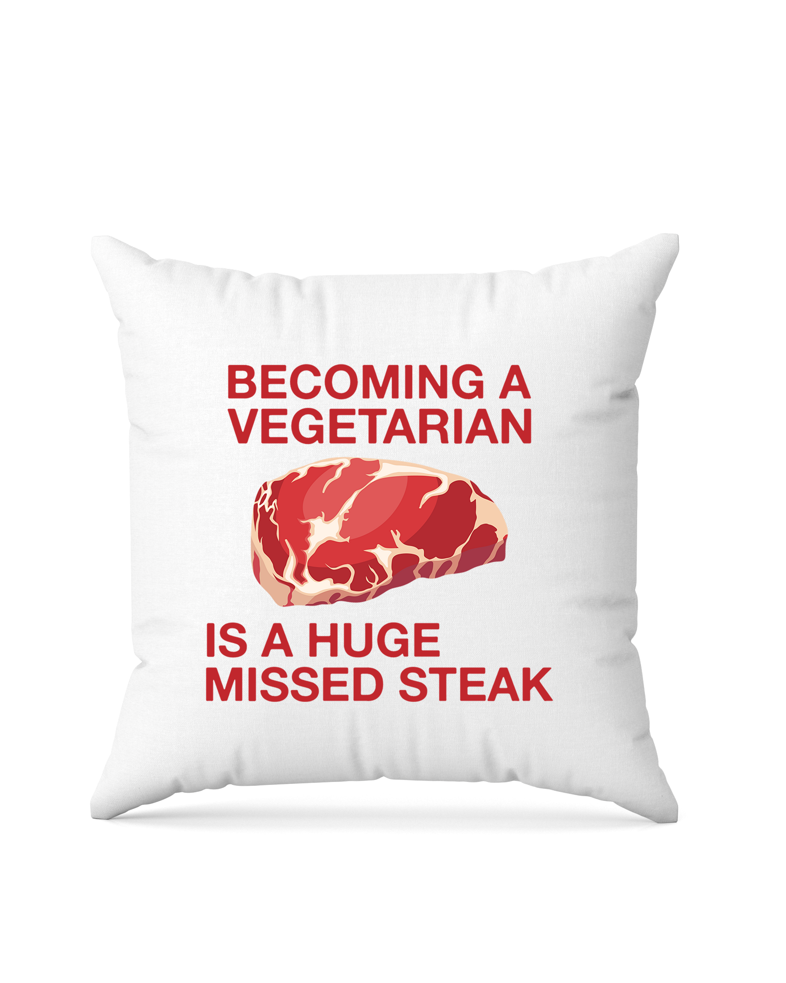 bundle-src:https://cdn.shopify.com/s/files/1/0946/1078/4639/files/Square_pillow_2048x2048.png?v=1772101559