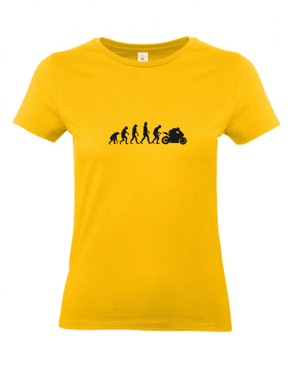 bundle-src:https://cdn.shopify.com/s/files/1/0946/1078/4639/files/TW04T_P_BC_210_01.jpg?v=1772459365