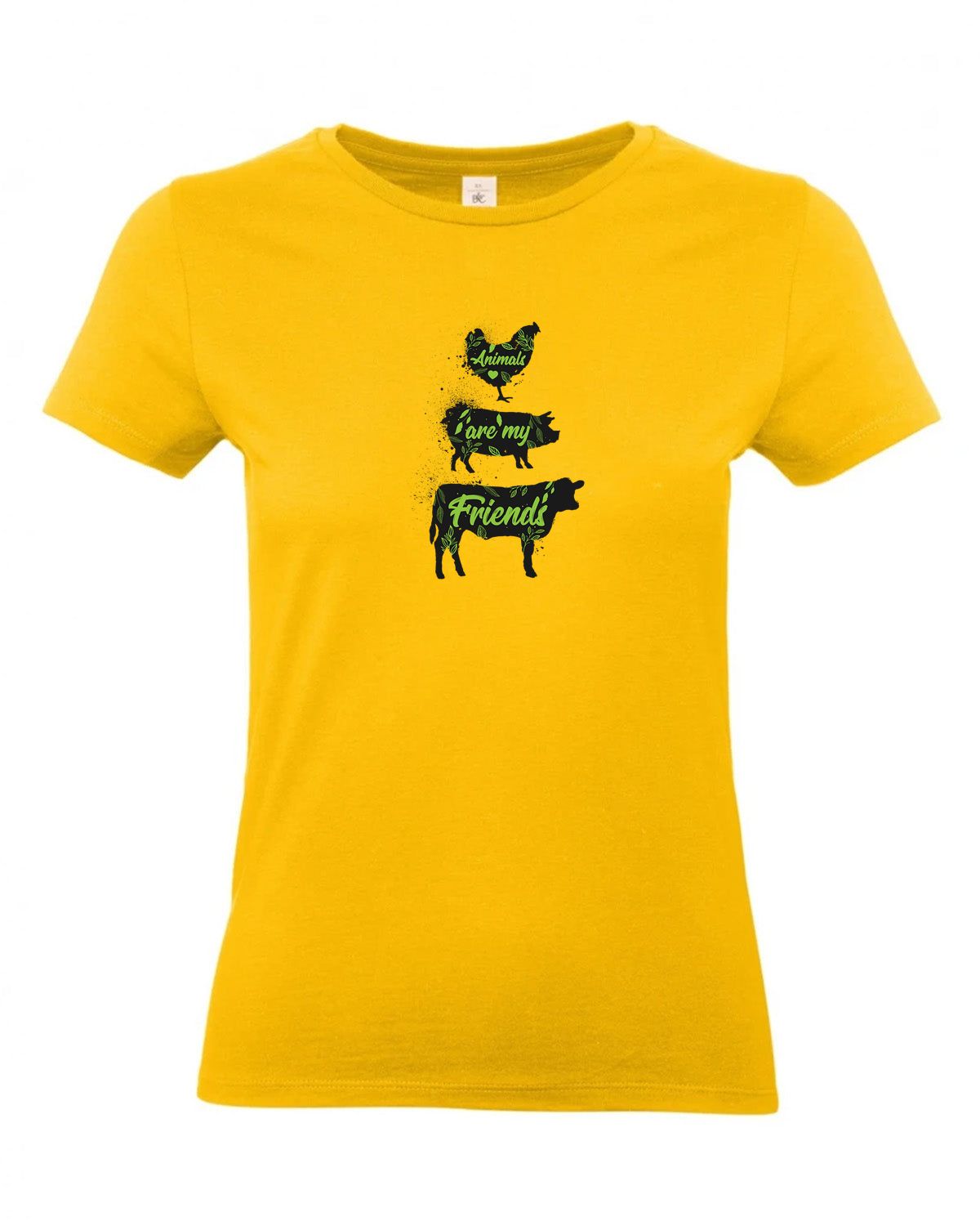 bundle-src:https://cdn.shopify.com/s/files/1/0946/1078/4639/files/TW04T_P_BC_210_01.jpg?v=1772459365