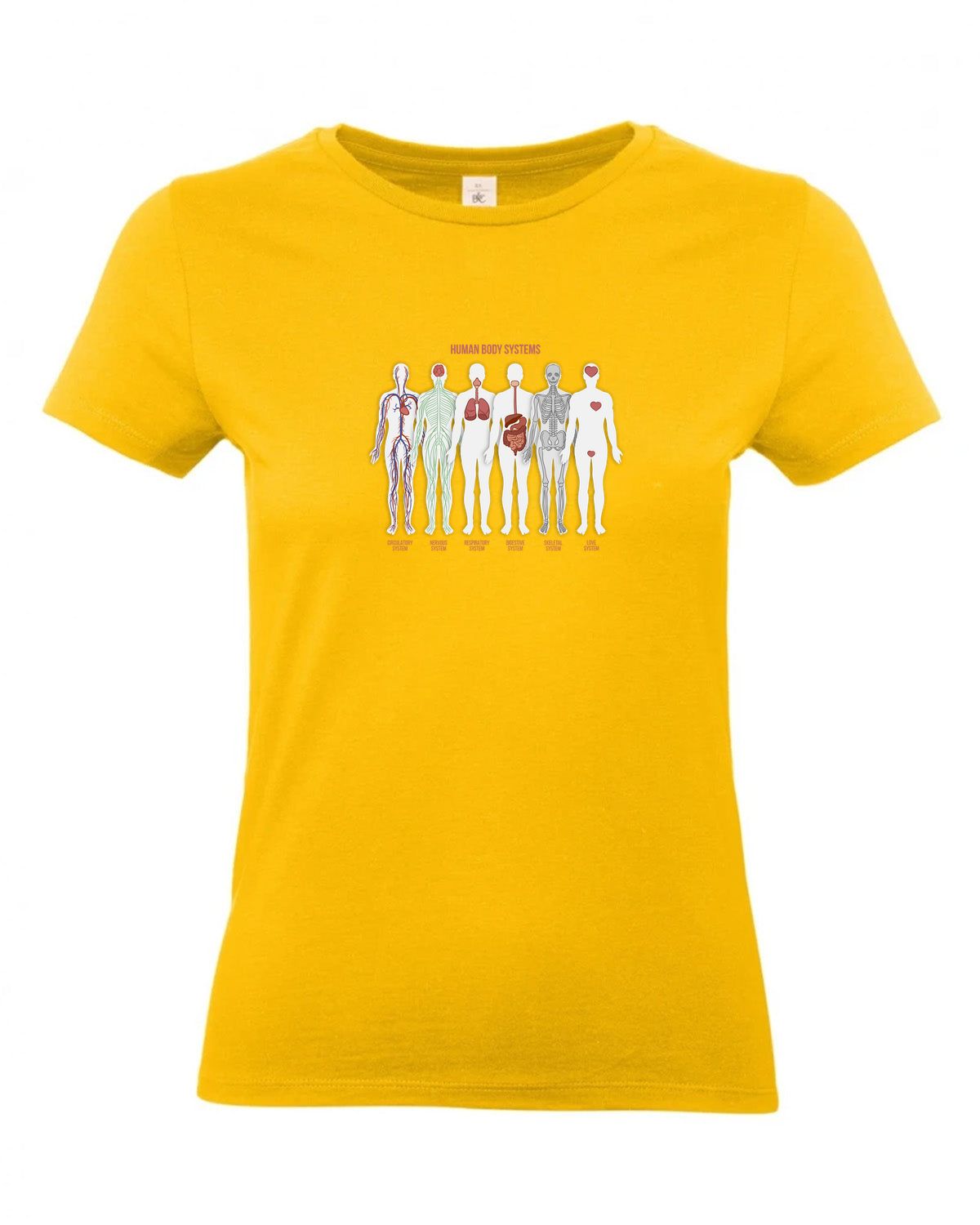 bundle-src:https://cdn.shopify.com/s/files/1/0946/1078/4639/files/TW04T_P_BC_210_01.jpg?v=1772459365