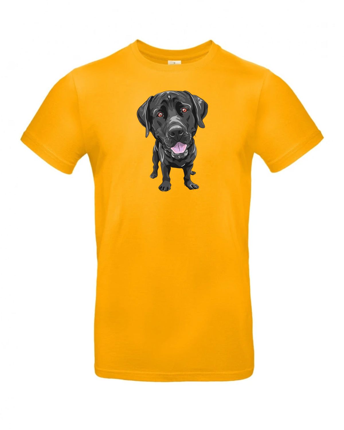 bundle-src:https://cdn.shopify.com/s/files/1/0946/1078/4639/files/TU03T_P_BC_220_01.jpg?v=1772523893