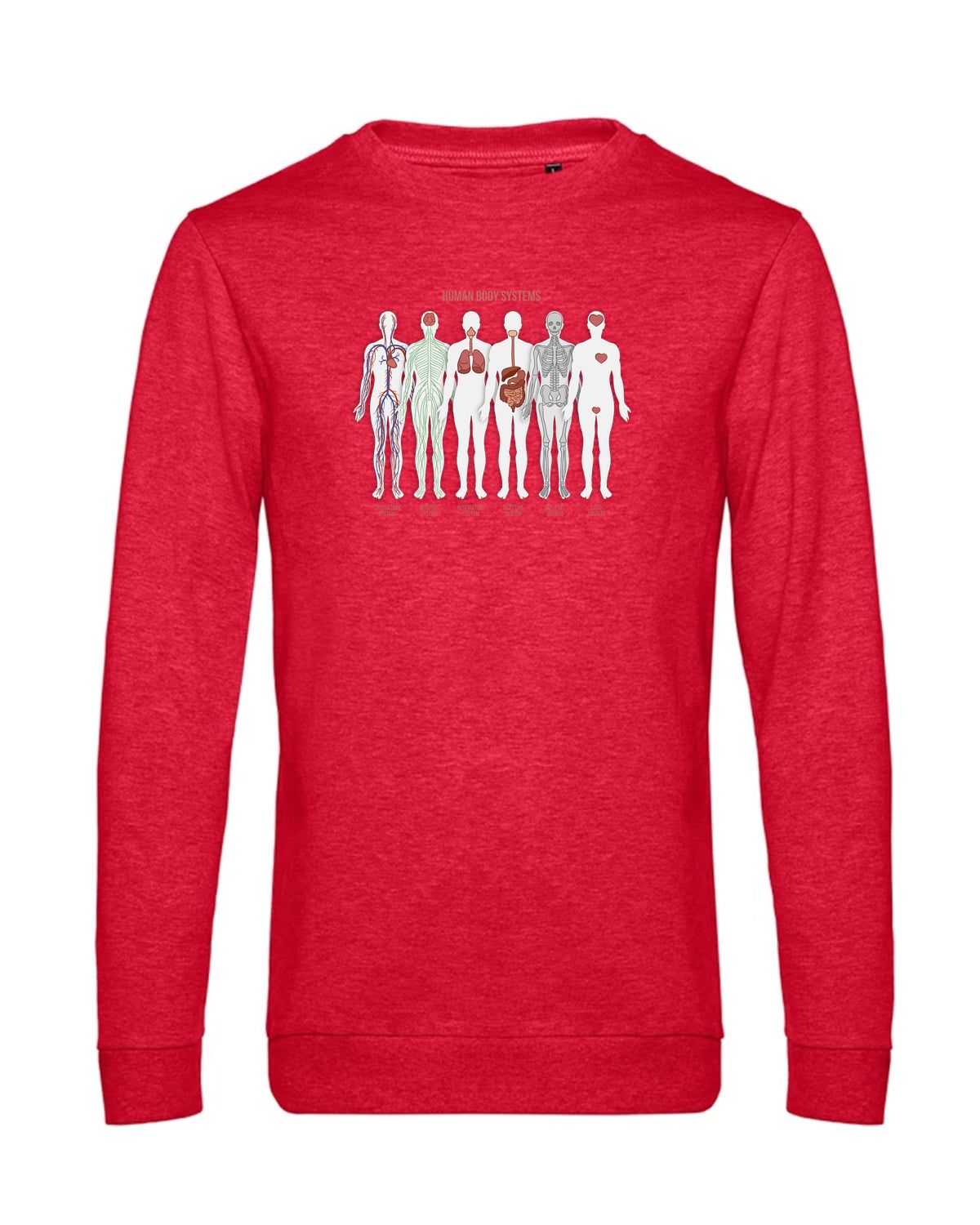 bundle-src:https://cdn.shopify.com/s/files/1/0946/1078/4639/files/WU01W_P_BC_617_01.jpg?v=1772633790