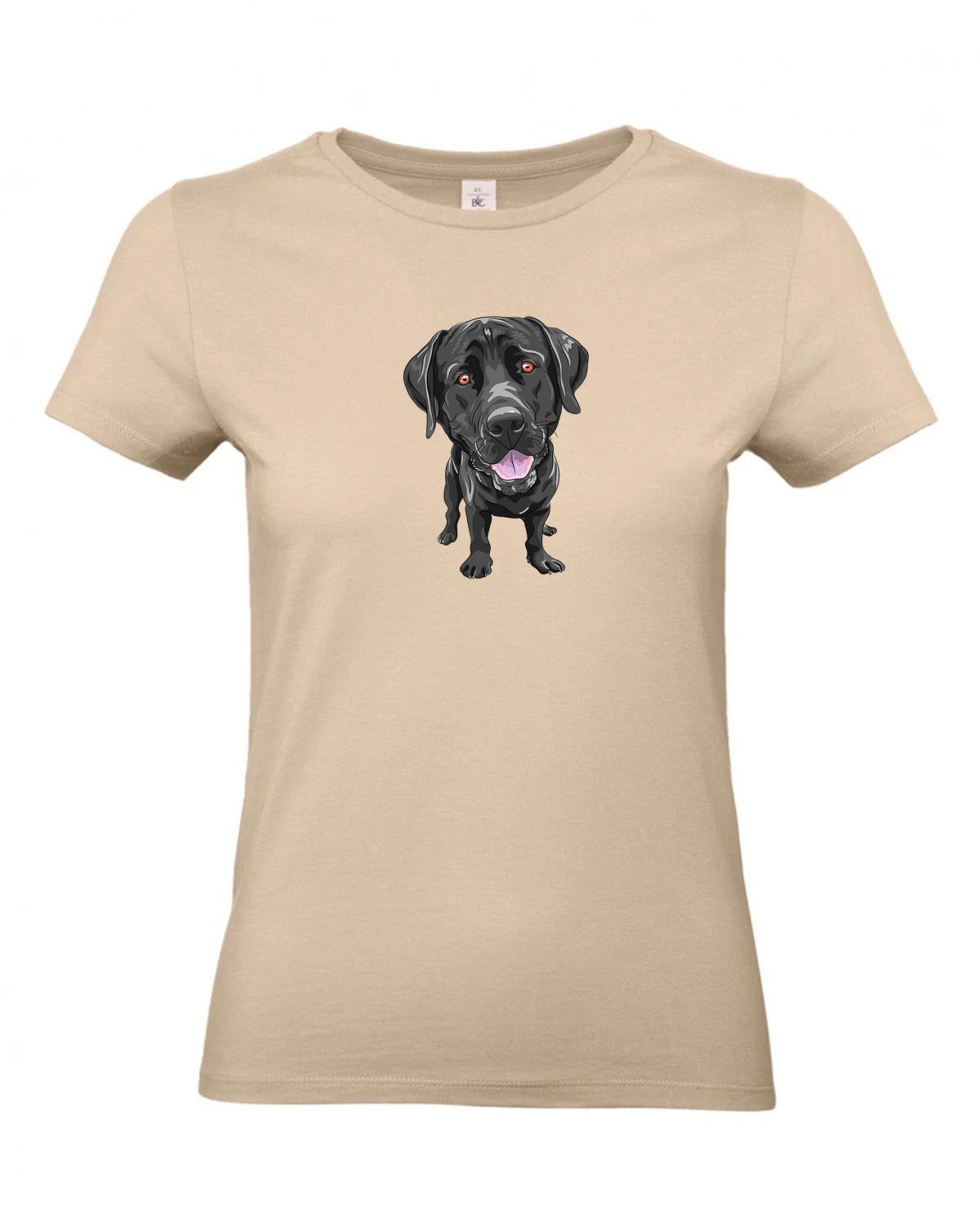 bundle-src:https://cdn.shopify.com/s/files/1/0946/1078/4639/files/TW04T_P_BC_120_01.jpg?v=1772459365