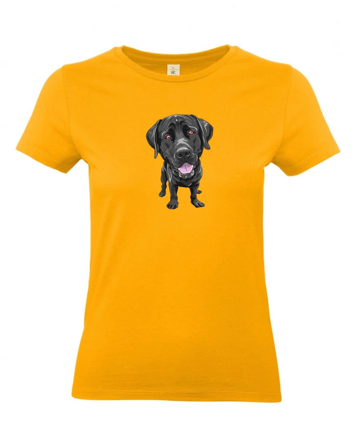 bundle-src:https://cdn.shopify.com/s/files/1/0946/1078/4639/files/TW04T_P_BC_220_01.jpg?v=1772459365