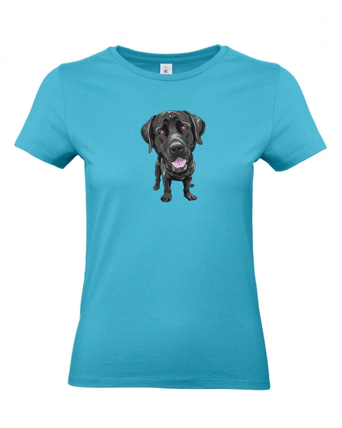 bundle-src:https://cdn.shopify.com/s/files/1/0946/1078/4639/files/TW04T_P_BC_442_01.jpg?v=1772459365