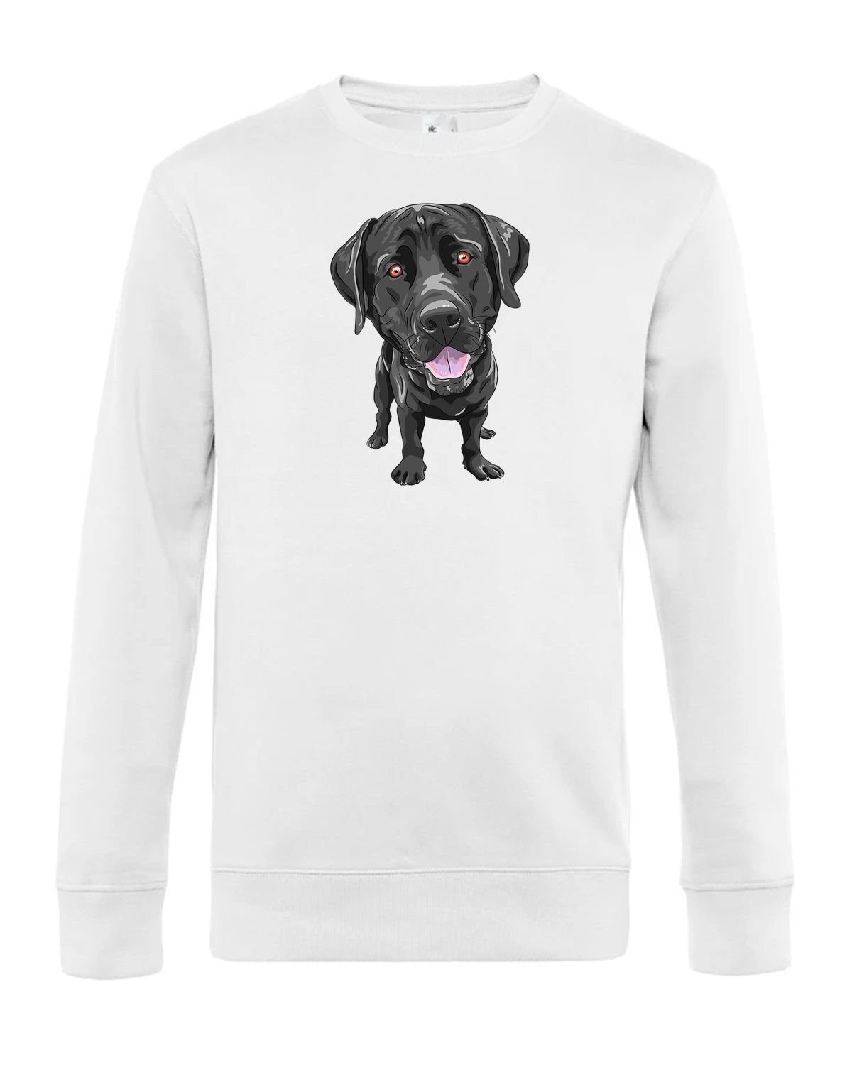 bundle-src:https://cdn.shopify.com/s/files/1/0946/1078/4639/files/WU01K_P_BC_001_01.jpg?v=1773063264