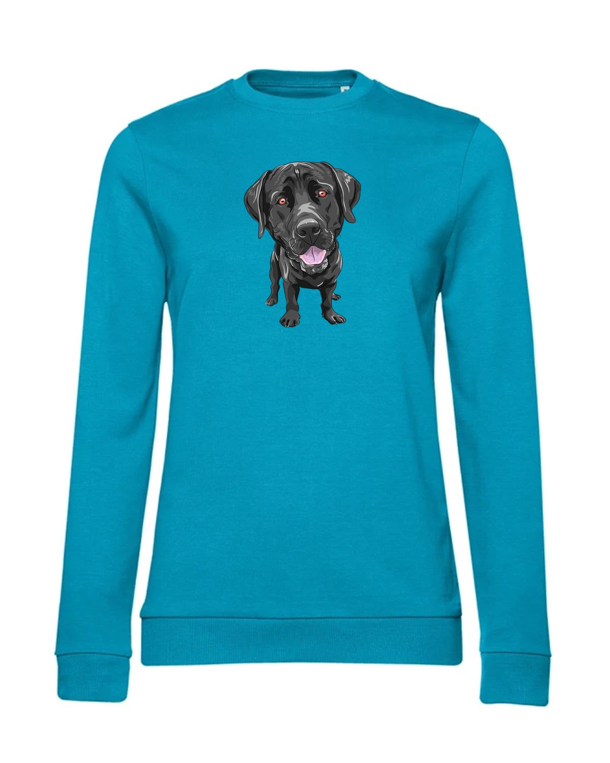 bundle-src:https://cdn.shopify.com/s/files/1/0946/1078/4639/files/WW02W_P_BC_443_01.jpg?v=1773067021