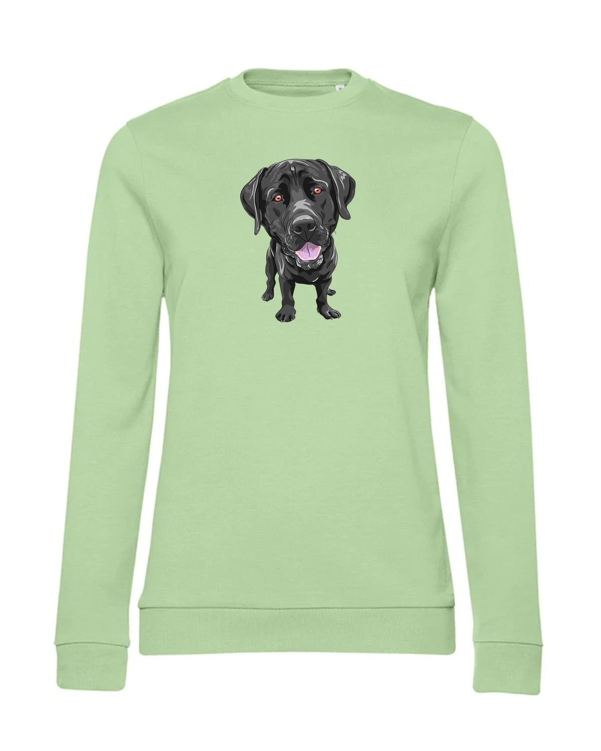 bundle-src:https://cdn.shopify.com/s/files/1/0946/1078/4639/files/WW02W_P_BC_503_01.jpg?v=1773067021