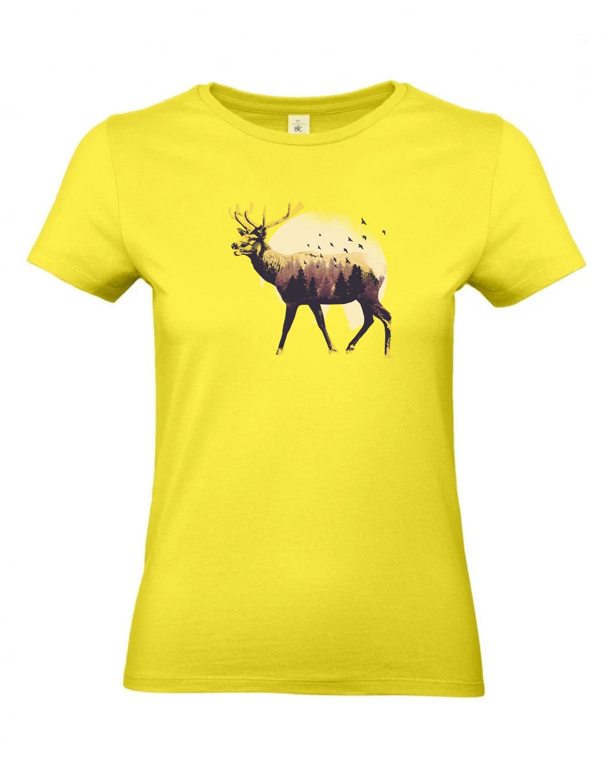 bundle-src:https://cdn.shopify.com/s/files/1/0946/1078/4639/files/TW04T_P_BC_201_01.jpg?v=1772459365