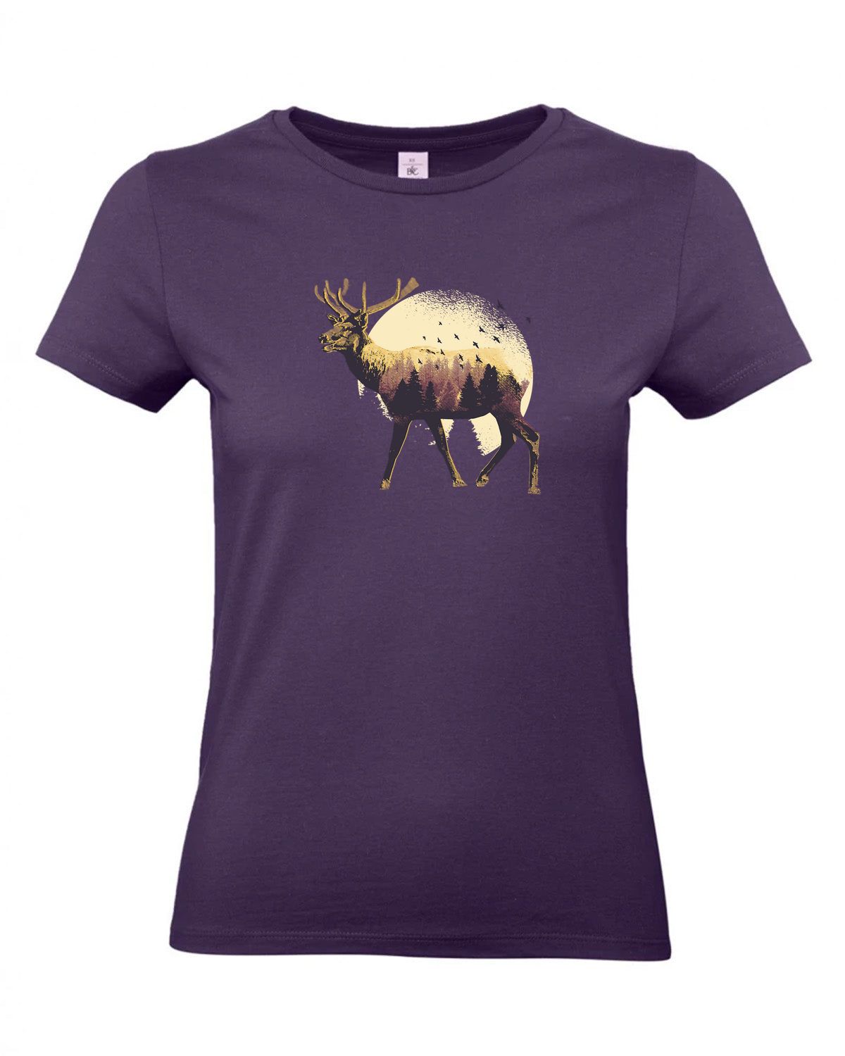 bundle-src:https://cdn.shopify.com/s/files/1/0946/1078/4639/files/TW04T_P_BC_351_01.jpg?v=1772459365