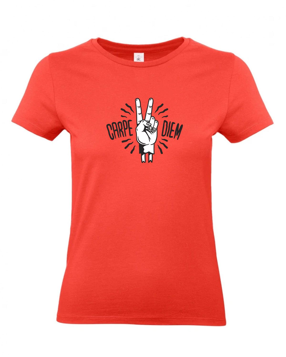 bundle-src:https://cdn.shopify.com/s/files/1/0946/1078/4639/files/TW04T_P_BC_236_01.jpg?v=1772459365