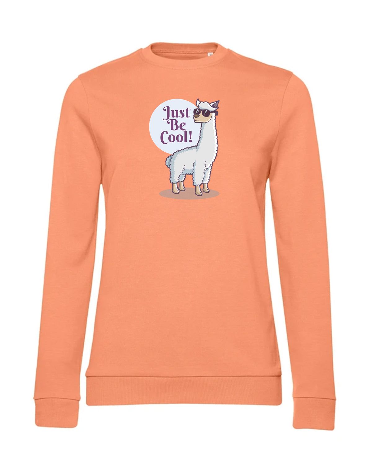 bundle-src:https://cdn.shopify.com/s/files/1/0946/1078/4639/files/WW02W_P_BC_255_01.jpg?v=1773067021