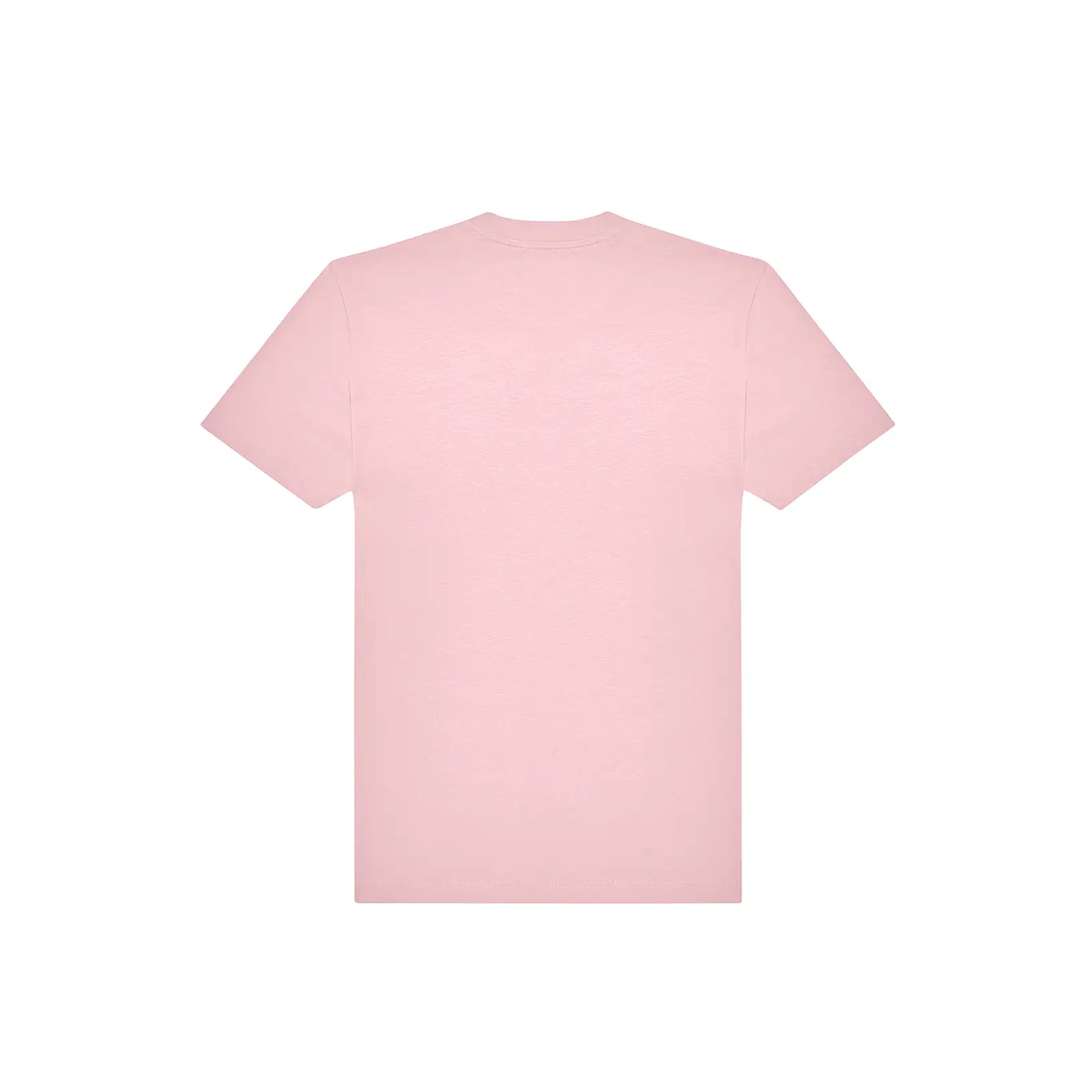 20325ed086a01faae297c56452cced10