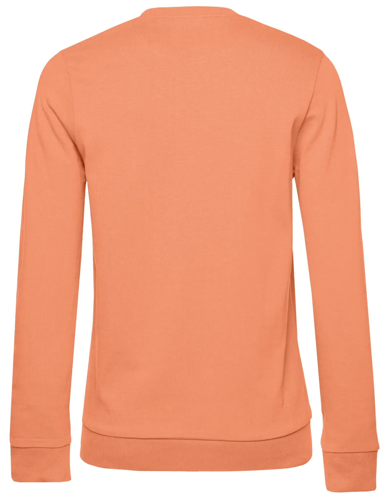 all-groups Women's Set In Sweatshirt