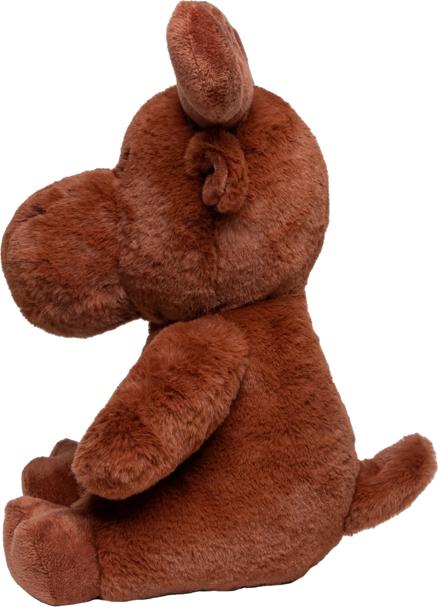 2ede20512992570932a7e1167b6415af