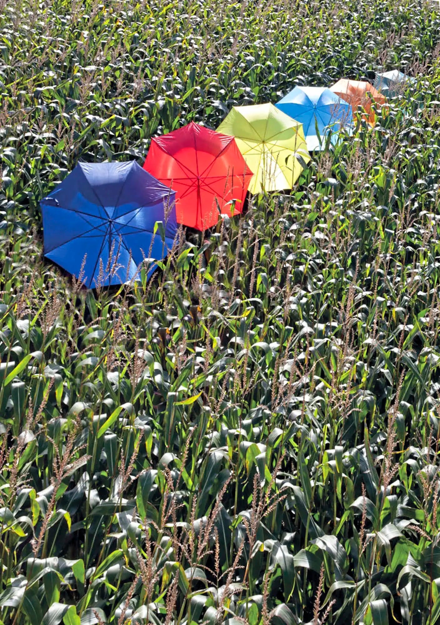 04a0de3f90263875782b5f83a20f49d0