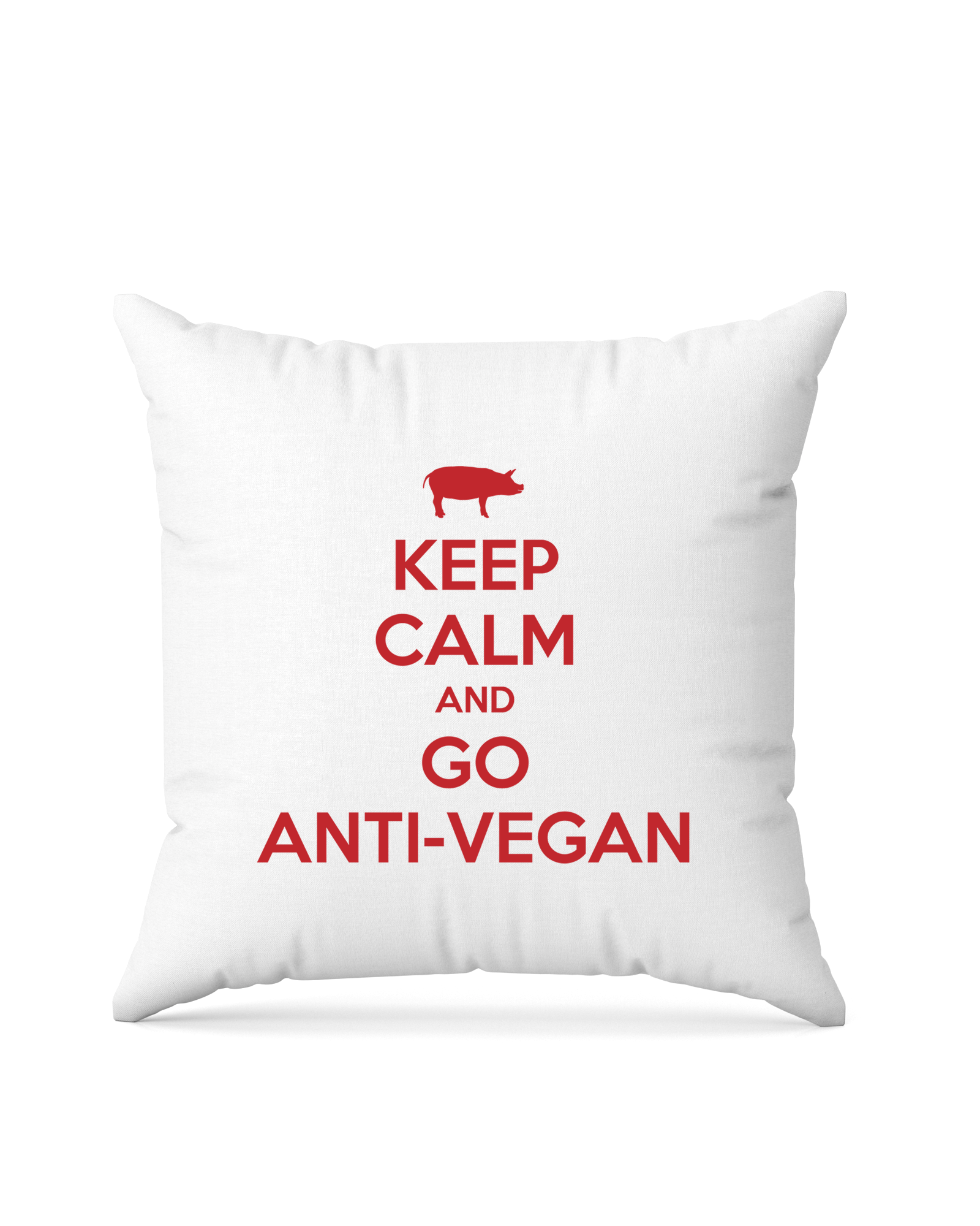 bundle-src:https://cdn.shopify.com/s/files/1/0946/1078/4639/files/Square_pillow_2048x2048.png?v=1772101559