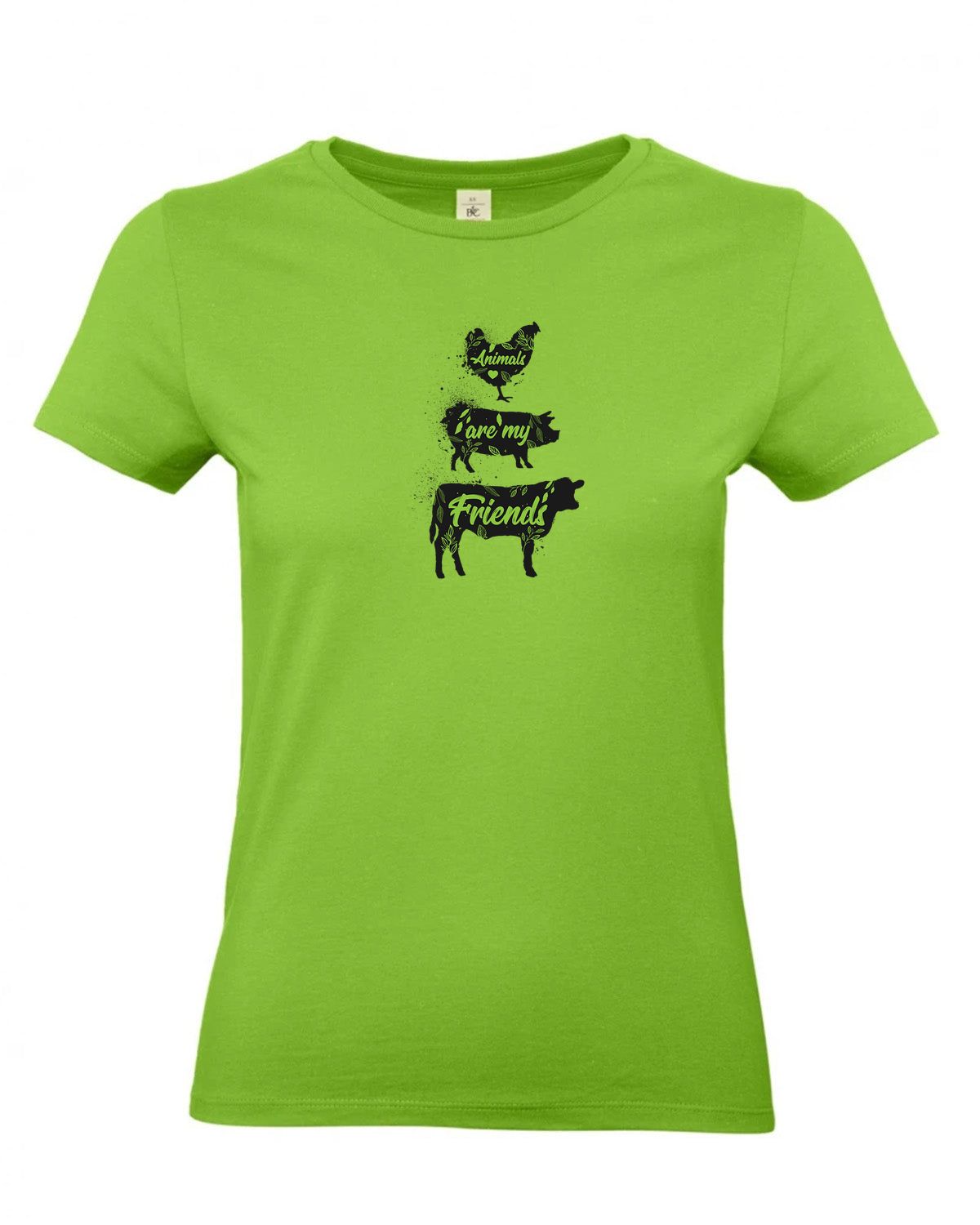 bundle-src:https://cdn.shopify.com/s/files/1/0946/1078/4639/files/TW04T_P_BC_511_01.jpg?v=1772459365