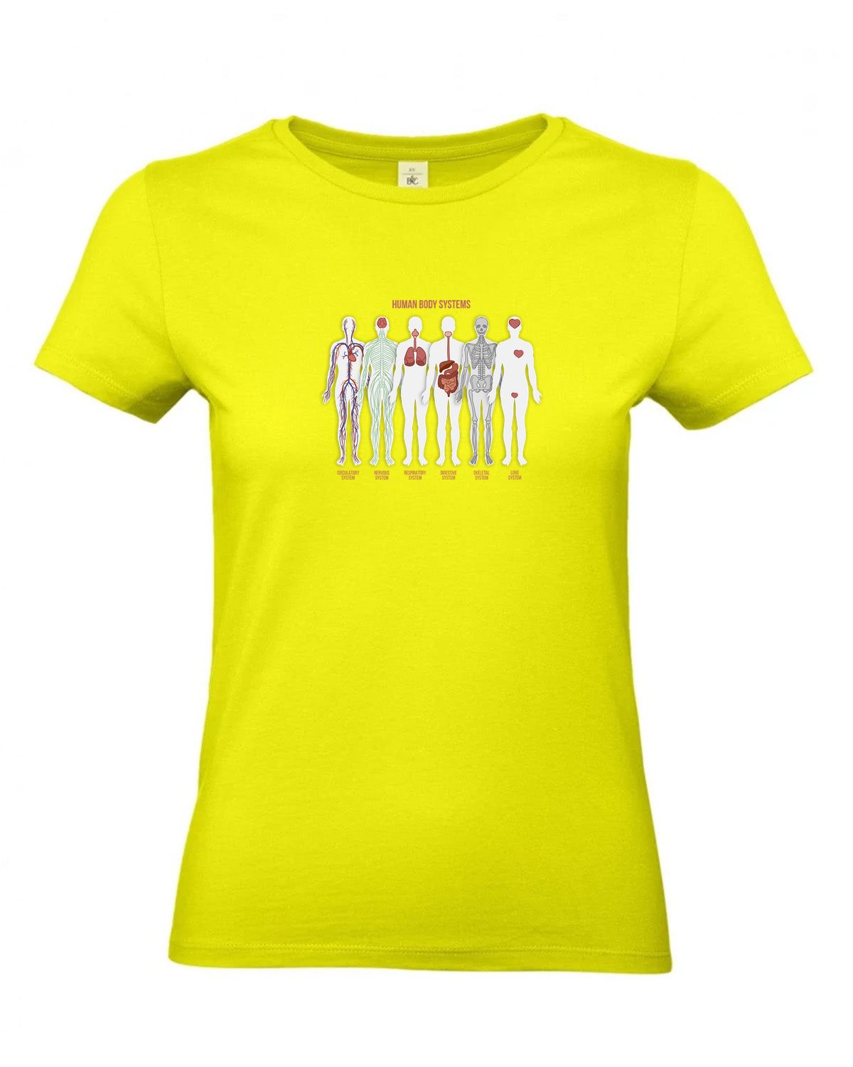 bundle-src:https://cdn.shopify.com/s/files/1/0946/1078/4639/files/TW04T_P_BC_986_01.jpg?v=1772459365