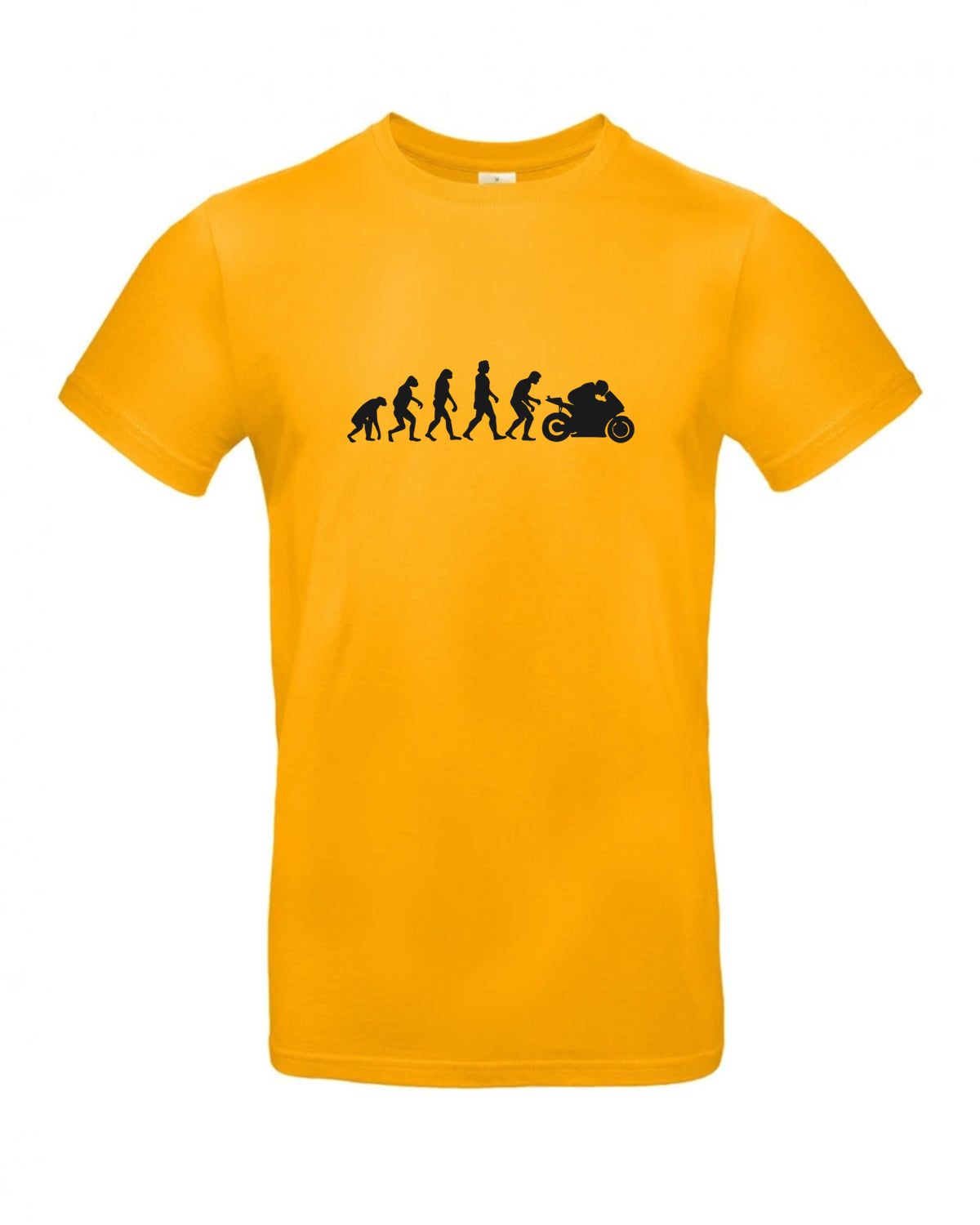 bundle-src:https://cdn.shopify.com/s/files/1/0946/1078/4639/files/TU03T_P_BC_220_01.jpg?v=1772523893