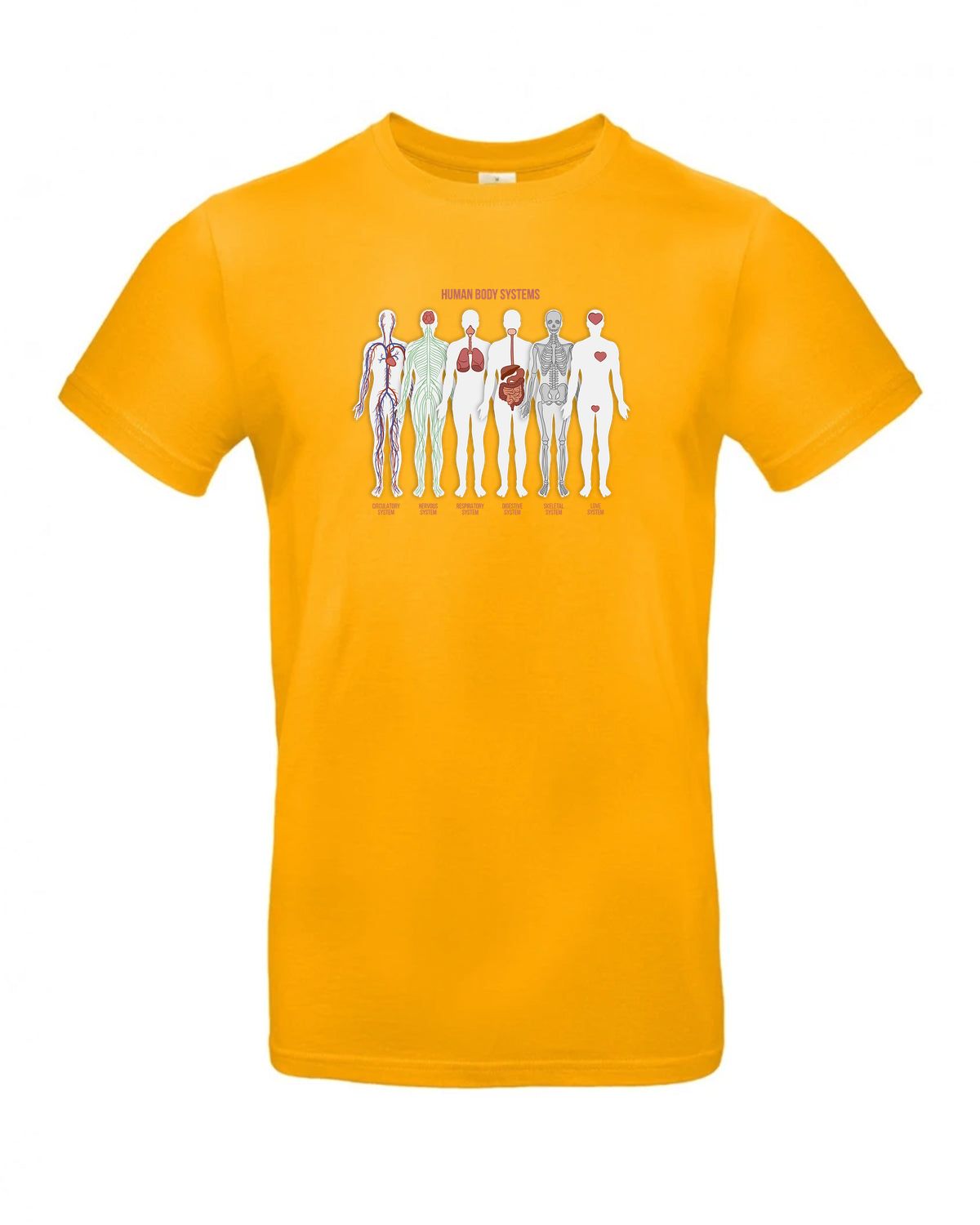 bundle-src:https://cdn.shopify.com/s/files/1/0946/1078/4639/files/TU03T_P_BC_220_01.jpg?v=1772523893