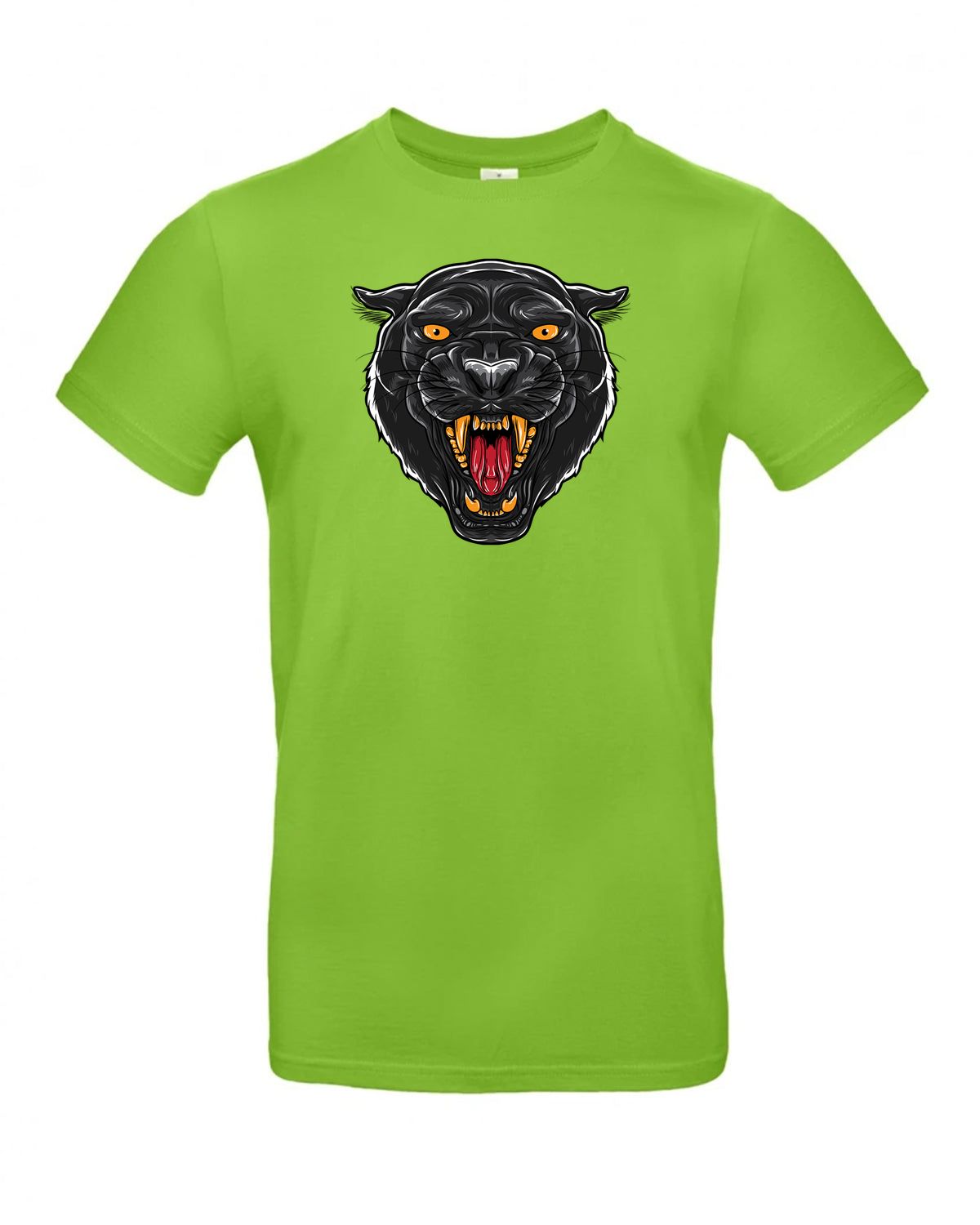 bundle-src:https://cdn.shopify.com/s/files/1/0946/1078/4639/files/TU03T_P_BC_511_01.jpg?v=1772523893