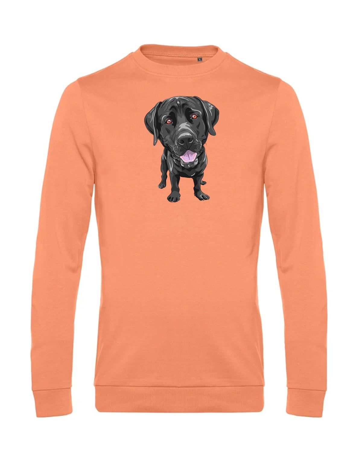 bundle-src:https://cdn.shopify.com/s/files/1/0946/1078/4639/files/WU01W_P_BC_255_01.jpg?v=1772633790