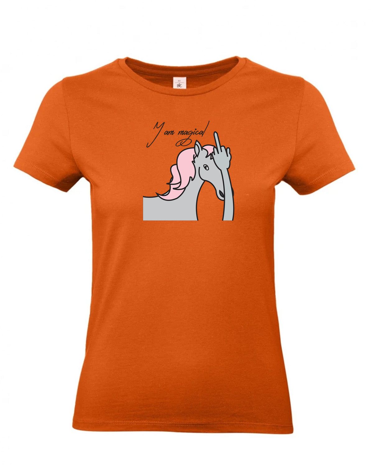 bundle-src:https://cdn.shopify.com/s/files/1/0946/1078/4639/files/TW04T_P_BC_231_01.jpg?v=1772459365