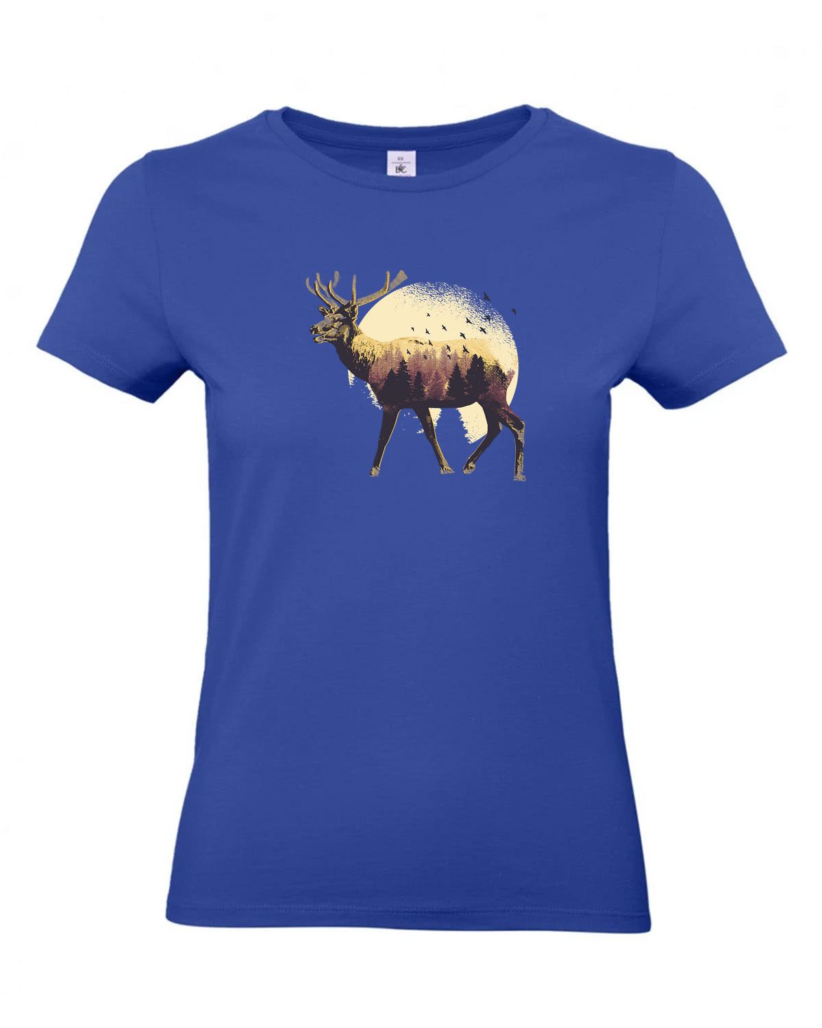 bundle-src:https://cdn.shopify.com/s/files/1/0946/1078/4639/files/TW04T_P_BC_008_01.jpg?v=1772459365