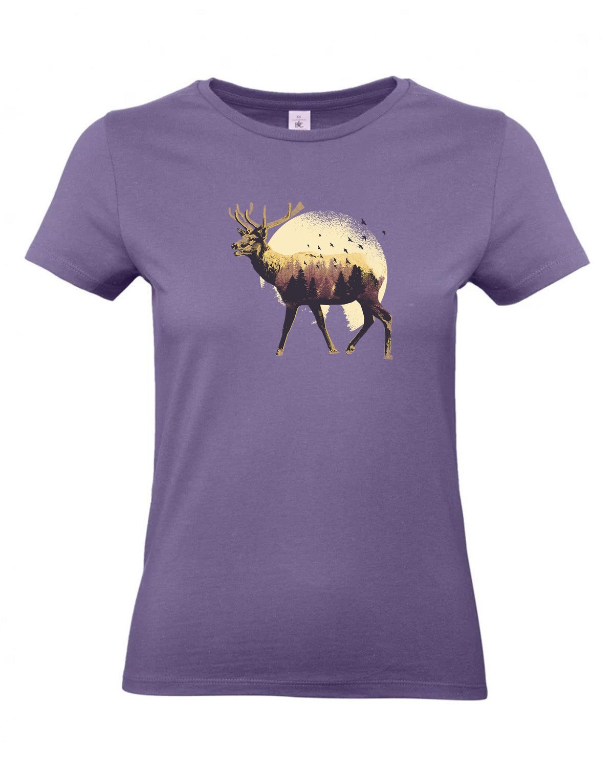 bundle-src:https://cdn.shopify.com/s/files/1/0946/1078/4639/files/TW04T_P_BC_341_01.jpg?v=1772459365