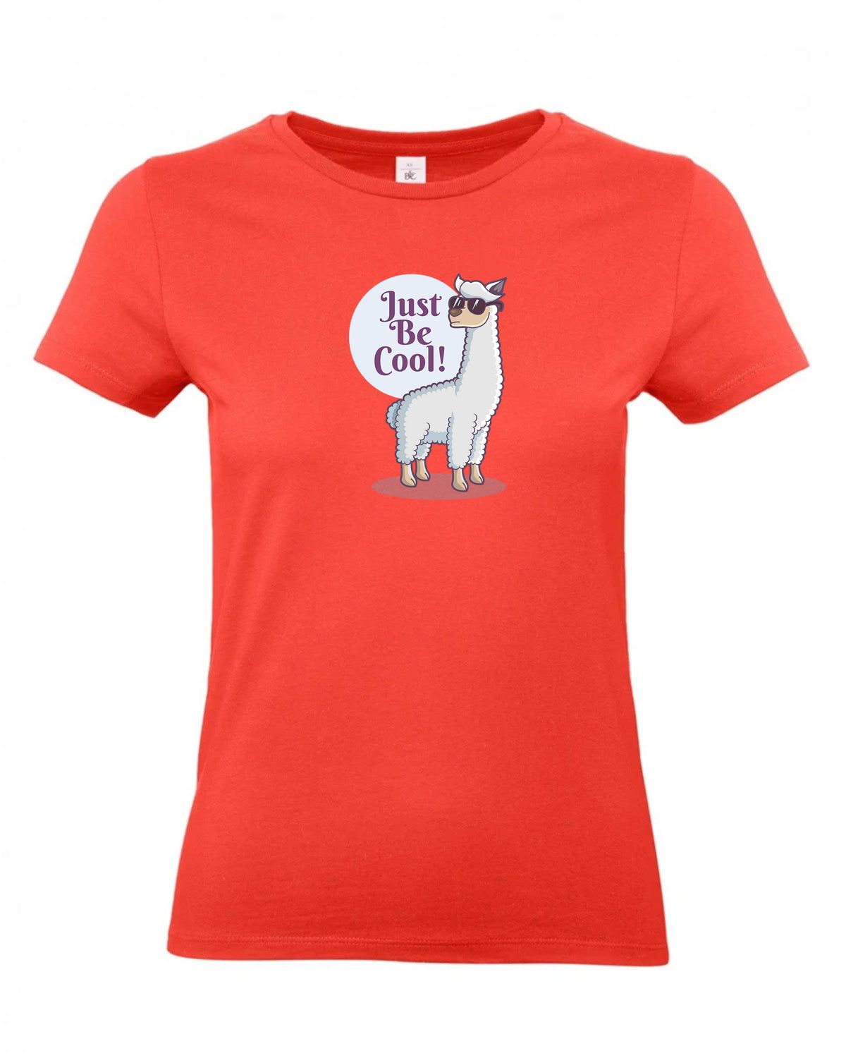 bundle-src:https://cdn.shopify.com/s/files/1/0946/1078/4639/files/TW04T_P_BC_236_01.jpg?v=1772459365