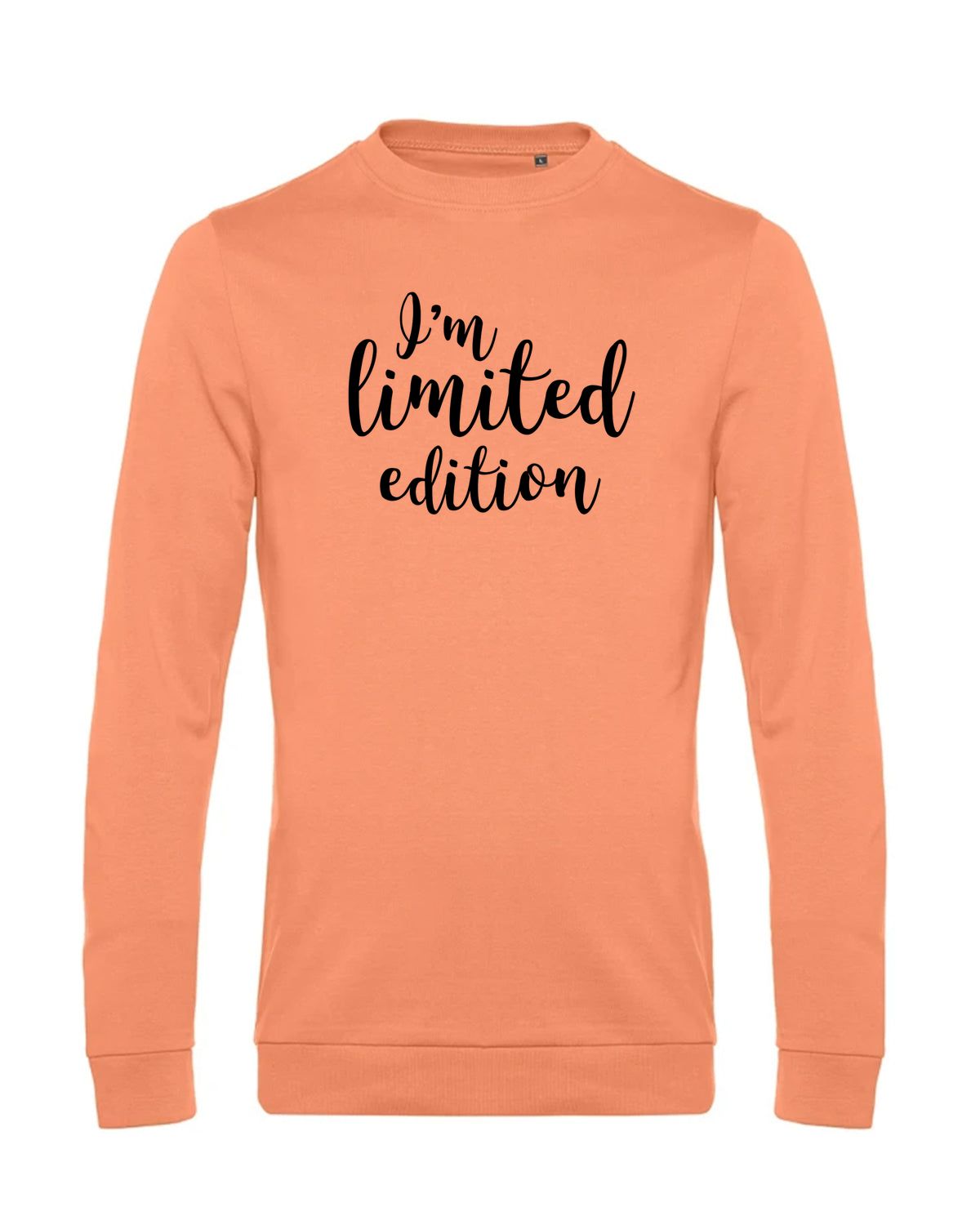 bundle-src:https://cdn.shopify.com/s/files/1/0946/1078/4639/files/WU01W_P_BC_255_01.jpg?v=1772633790