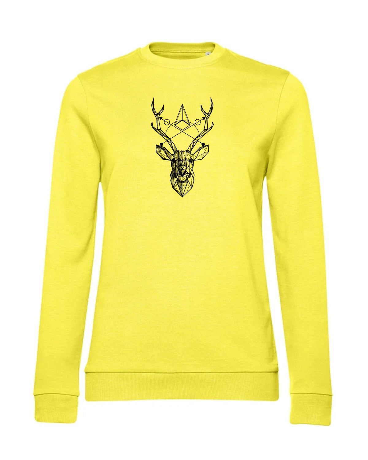 bundle-src:https://cdn.shopify.com/s/files/1/0946/1078/4639/files/WW02W_P_BC_201_01.jpg?v=1773067021